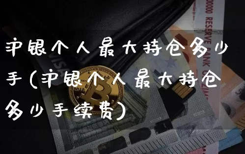 沪银个人最大持仓多少手(沪银个人最大持仓多少手续费)_https://www.qgjzrcxxzxpt.com_上期所_第1张