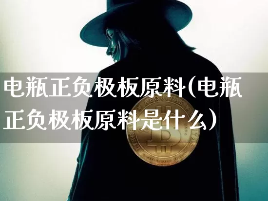电瓶正负极板原料(电瓶正负极板原料是什么)_https://www.qgjzrcxxzxpt.com_广期所_第1张