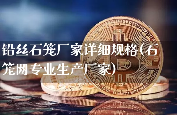 铅丝石笼厂家详细规格(石笼网专业生产厂家)_https://www.qgjzrcxxzxpt.com_中金所_第1张