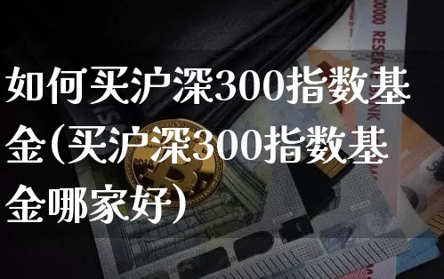 如何买沪深300指数基金(买沪深300指数基金哪家好)_https://www.qgjzrcxxzxpt.com_中金所_第1张