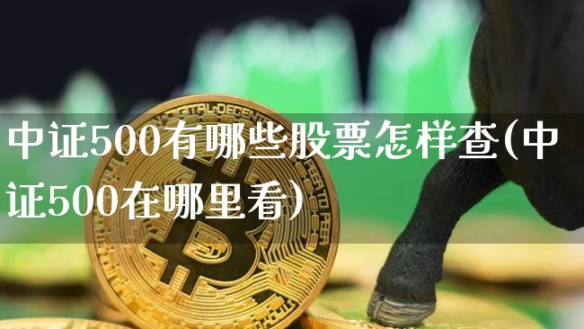 中证500有哪些股票怎样查(中证500在哪里看)_https://www.qgjzrcxxzxpt.com_上期能源_第1张