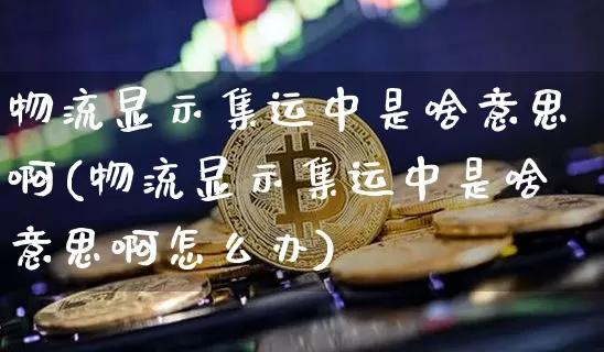 物流显示集运中是啥意思啊(物流显示集运中是啥意思啊怎么办)_https://www.qgjzrcxxzxpt.com_广期所_第1张
