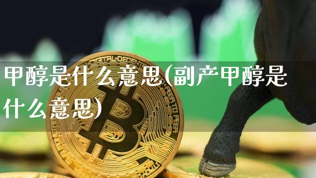 甲醇是什么意思(副产甲醇是什么意思)_https://www.qgjzrcxxzxpt.com_上期所_第1张