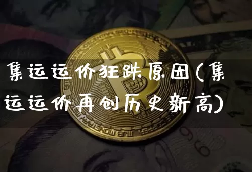 集运运价狂跌原因(集运运价再创历史新高)_https://www.qgjzrcxxzxpt.com_大商所_第1张