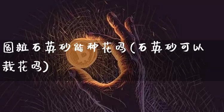 圆粒石英砂能种花吗(石英砂可以栽花吗)_https://www.qgjzrcxxzxpt.com_中金所_第1张