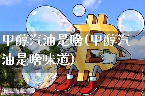 甲醇汽油是啥(甲醇汽油是啥味道)_https://www.qgjzrcxxzxpt.com_大商所_第1张