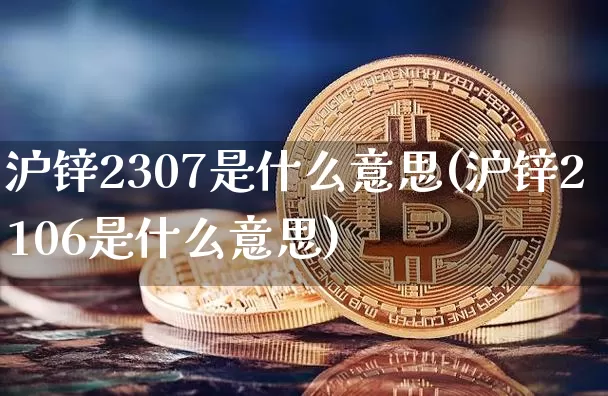 沪锌2307是什么意思(沪锌2106是什么意思)_https://www.qgjzrcxxzxpt.com_上期所_第1张