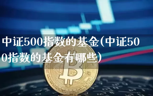 中证500指数的基金(中证500指数的基金有哪些)_https://www.qgjzrcxxzxpt.com_大商所_第1张