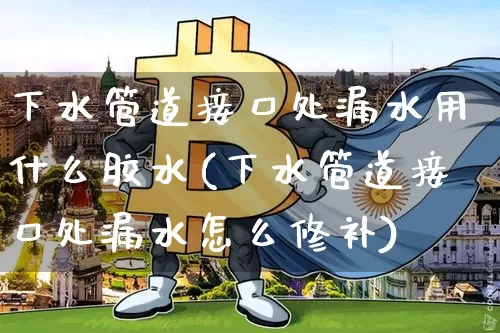 下水管道接口处漏水用什么胶水(下水管道接口处漏水怎么修补)_https://www.qgjzrcxxzxpt.com_广期所_第1张