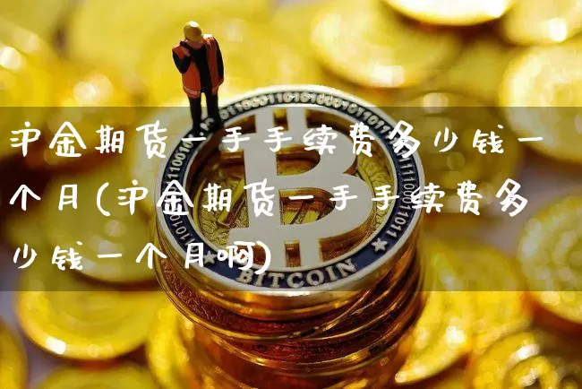 沪金期货一手手续费多少钱一个月(沪金期货一手手续费多少钱一个月啊)_https://www.qgjzrcxxzxpt.com_广期所_第1张