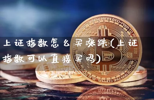上证指数怎么买涨跌(上证指数可以直接买吗)_https://www.qgjzrcxxzxpt.com_广期所_第1张