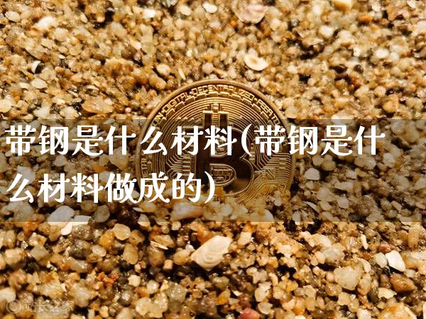 带钢是什么材料(带钢是什么材料做成的)_https://www.qgjzrcxxzxpt.com_中金所_第1张