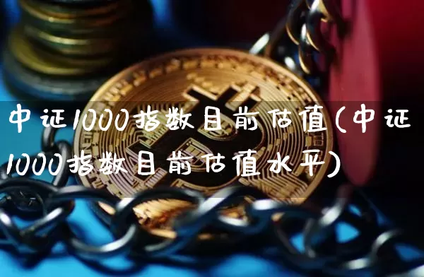 中证1000指数目前估值(中证1000指数目前估值水平)_https://www.qgjzrcxxzxpt.com_上期能源_第1张
