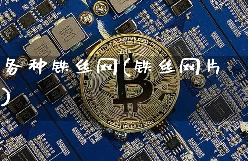 各种铁丝网(铁丝网片)_https://www.qgjzrcxxzxpt.com_广期所_第1张