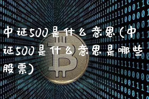 中证500是什么意思(中证500是什么意思是哪些股票)_https://www.qgjzrcxxzxpt.com_上期所_第1张