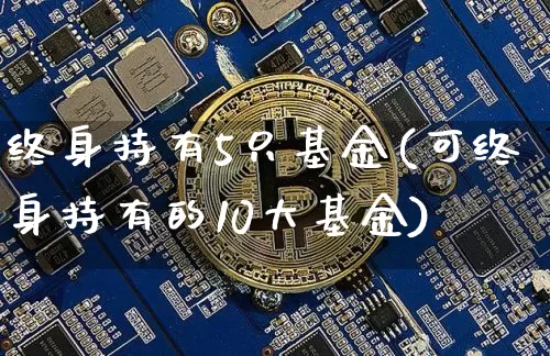终身持有5只基金(可终身持有的10大基金)_https://www.qgjzrcxxzxpt.com_大商所_第1张