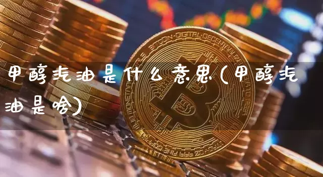 甲醇汽油是什么意思(甲醇汽油是啥)_上期所_第1张_财经网 甲醇汽油是什么意思(甲醇汽油是啥)_https://www.qgjzrcxxzxpt.com_上期所_第1张