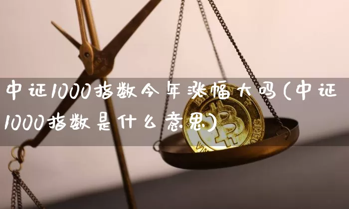 中证1000指数今年涨幅大吗(中证1000指数是什么意思)_https://www.qgjzrcxxzxpt.com_广期所_第1张