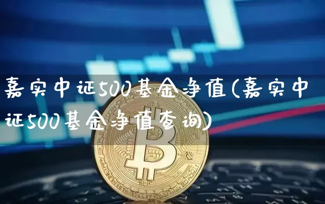 嘉实中证500基金净值(嘉实中证500基金净值查询)_https://www.qgjzrcxxzxpt.com_大商所_第1张