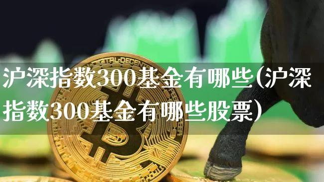 沪深指数300基金有哪些(沪深指数300基金有哪些股票)_https://www.qgjzrcxxzxpt.com_广期所_第1张