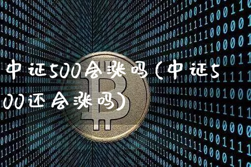 中证500会涨吗(中证500还会涨吗)_https://www.qgjzrcxxzxpt.com_中金所_第1张
