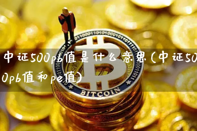 中证500pb值是什么意思(中证500pb值和pe值)_https://www.qgjzrcxxzxpt.com_中金所_第1张