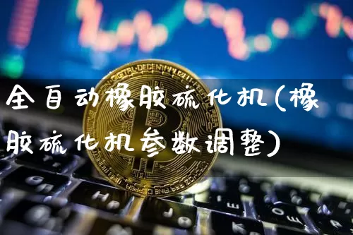 全自动橡胶硫化机(橡胶硫化机参数调整)_https://www.qgjzrcxxzxpt.com_广期所_第1张