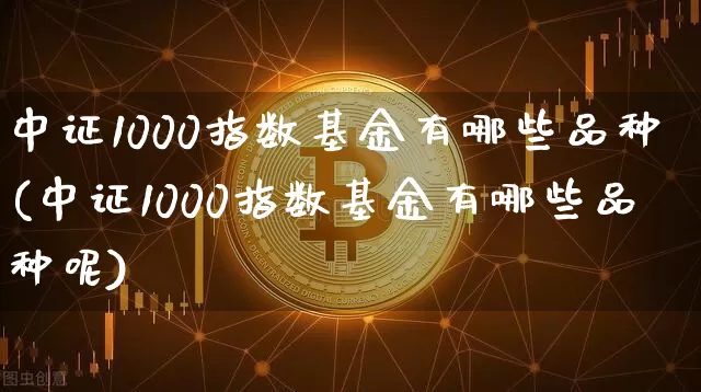中证1000指数基金有哪些品种(中证1000指数基金有哪些品种呢)_https://www.qgjzrcxxzxpt.com_大商所_第1张