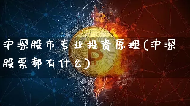 沪深股市专业投资原理(沪深股票都有什么)_https://www.qgjzrcxxzxpt.com_大商所_第1张