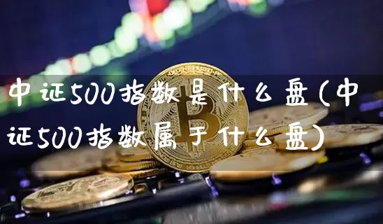中证500指数是什么盘(中证500指数属于什么盘)_https://www.qgjzrcxxzxpt.com_上期所_第1张