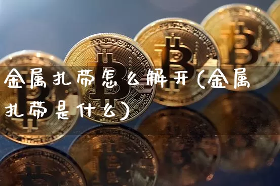 金属扎带怎么解开(金属扎带是什么)_https://www.qgjzrcxxzxpt.com_广期所_第1张