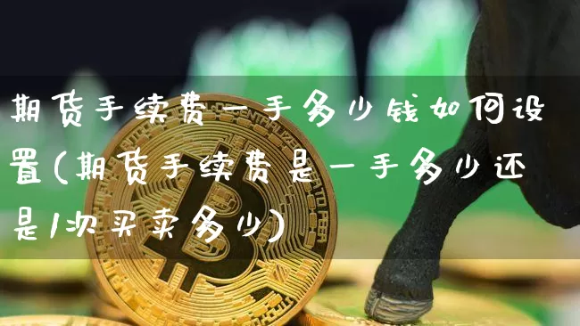 期货手续费一手多少钱如何设置(期货手续费是一手多少还是1次买卖多少)_https://www.qgjzrcxxzxpt.com_大商所_第1张