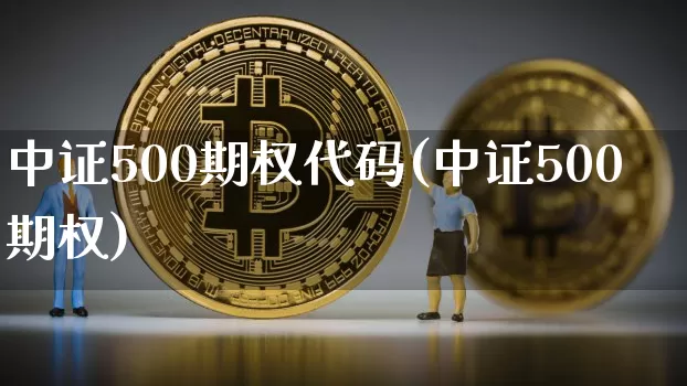 中证500期权代码(中证500期权)_https://www.qgjzrcxxzxpt.com_中金所_第1张