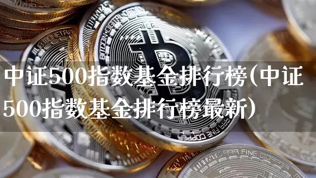 中证500指数基金排行榜(中证500指数基金排行榜最新)_https://www.qgjzrcxxzxpt.com_中金所_第1张