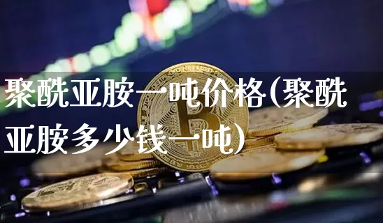 聚酰亚胺一吨价格(聚酰亚胺多少钱一吨)_https://www.qgjzrcxxzxpt.com_上期能源_第1张