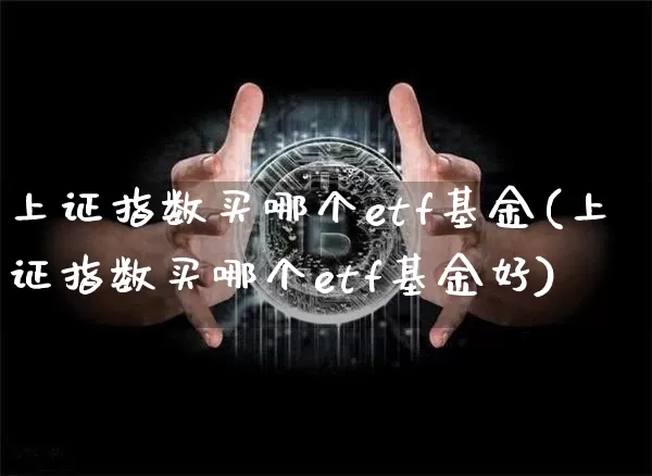 上证指数买哪个etf基金(上证指数买哪个etf基金好)_https://www.qgjzrcxxzxpt.com_大商所_第1张