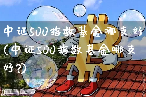中证500指数基金哪支好(中证500指数基金哪支好?)_https://www.qgjzrcxxzxpt.com_上期所_第1张