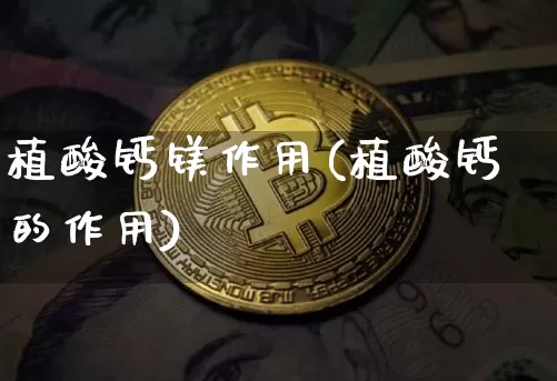 植酸钙镁作用(植酸钙的作用)_https://www.qgjzrcxxzxpt.com_中金所_第1张