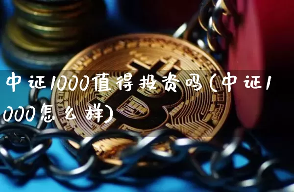 中证1000值得投资吗(中证1000怎么样)_https://www.qgjzrcxxzxpt.com_上期能源_第1张