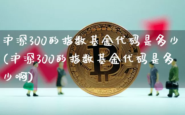 沪深300的指数基金代码是多少(沪深300的指数基金代码是多少啊)_https://www.qgjzrcxxzxpt.com_上期所_第1张