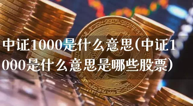 中证1000是什么意思(中证1000是什么意思是哪些股票)_https://www.qgjzrcxxzxpt.com_中金所_第1张