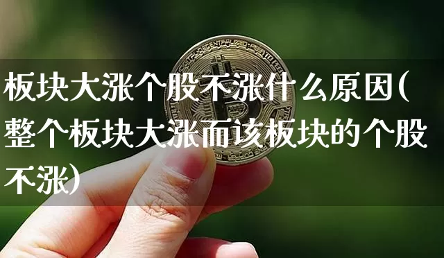 板块大涨个股不涨什么原因(整个板块大涨而该板块的个股不涨)_https://www.qgjzrcxxzxpt.com_大商所_第1张
