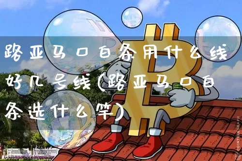 路亚马口白条用什么线好几号线(路亚马口白条选什么竿)_https://www.qgjzrcxxzxpt.com_大商所_第1张