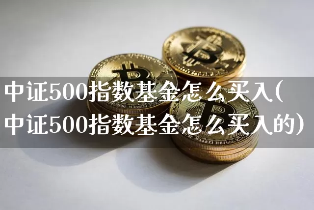 中证500指数基金怎么买入(中证500指数基金怎么买入的)_https://www.qgjzrcxxzxpt.com_上期所_第1张