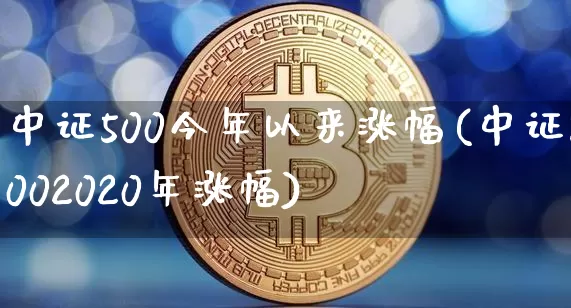 中证500今年以来涨幅(中证5002020年涨幅)_https://www.qgjzrcxxzxpt.com_上期所_第1张