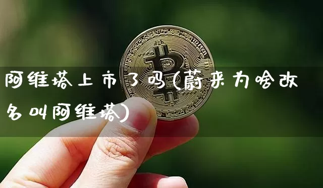 阿维塔上市了吗(蔚来为啥改名叫阿维塔)_https://www.qgjzrcxxzxpt.com_广期所_第1张