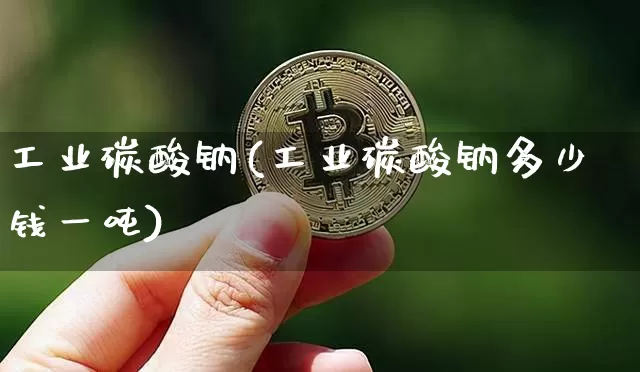 工业碳酸钠(工业碳酸钠多少钱一吨)_https://www.qgjzrcxxzxpt.com_上期能源_第1张