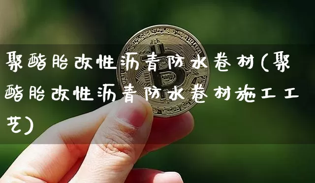 聚酯胎改性沥青防水卷材(聚酯胎改性沥青防水卷材施工工艺)_https://www.qgjzrcxxzxpt.com_郑商所_第1张