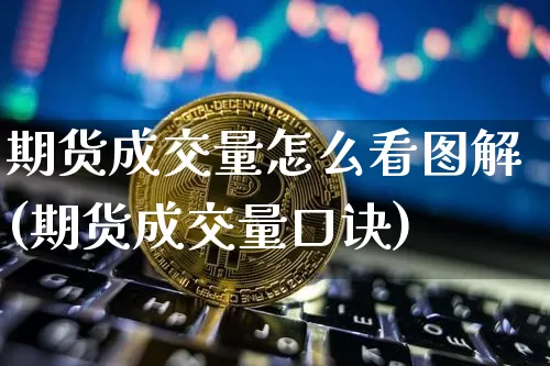 期货成交量怎么看图解(期货成交量口诀)_https://www.qgjzrcxxzxpt.com_上期能源_第1张