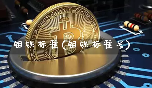 钼铁标准(钼铁标准号)_https://www.qgjzrcxxzxpt.com_上期能源_第1张